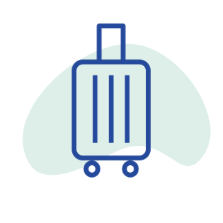 Excess Baggage